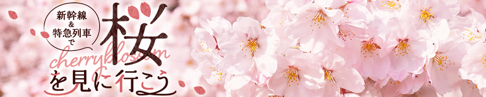 新幹線&特急列車で桜を見に行こう