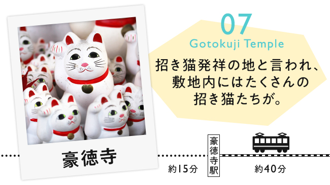 豪徳寺 のイメージ